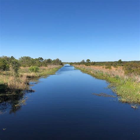 The 10 Best Hotel Deals in Lake Wales (Jul 2026) - Tripadvisor