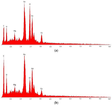 Cell Immobilization Using Alginate-Based Beads as a Protective ...