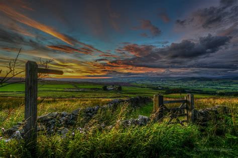 gate, Sunset, Skipton, green grass, cloud - Sky, nature, orange, grass ...