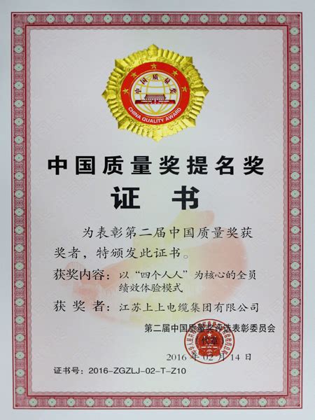 中国质量奖提名奖-溧阳安上电力科技有限公司