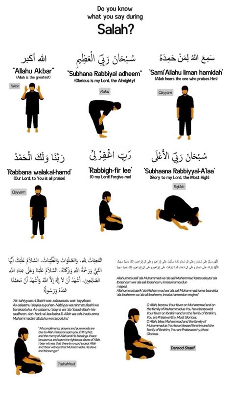 Complete set of muslim woman prayer position guide step by step vector ...