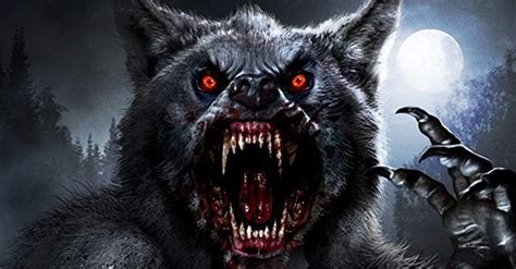 《冷血人狼》-高清电影-完整版在线观看