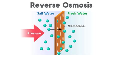 What is a Reverse Osmosis System? - Andrew