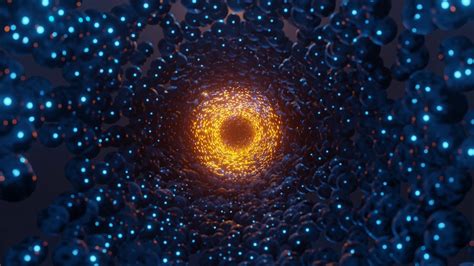 Abstract Loop-Free 的图像结果