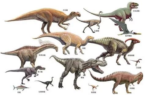 恐龙名字及图片大全图片 恐龙图片大全和名字,恐龙种类名字...
