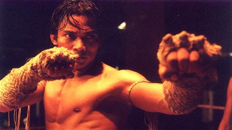 暴力美学拳拳到肉，这9部电影《拳霸》除外，还看过几部？