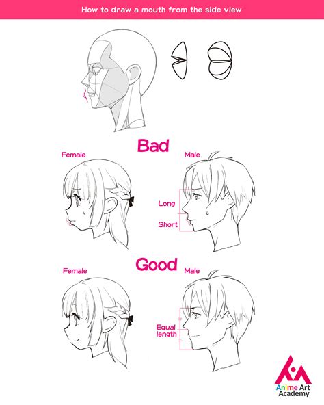 How To Draw A Side View Face Anime