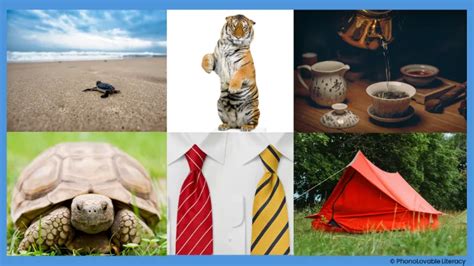 Sound of T 的图像结果