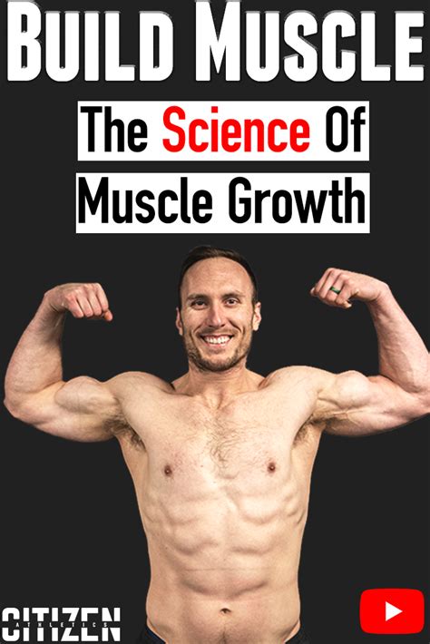 Image result for How We Build Muscle