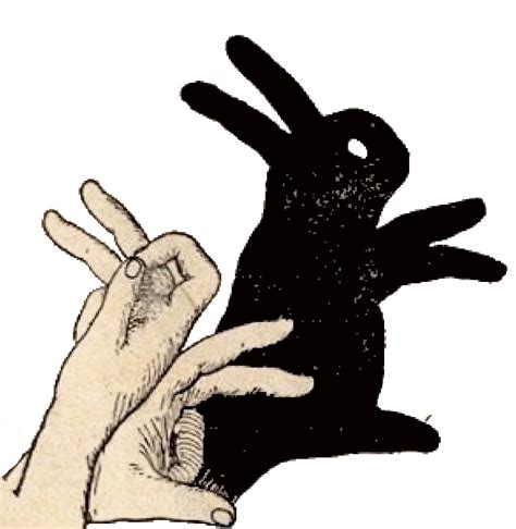 Shadow Puppet | Shadow puppets, Hand shadows, Shadow puppets with hands
