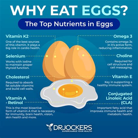 Chicken Eggs Health Benefits at Angela Bates blog