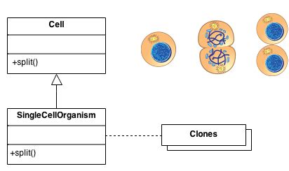 What Are Prototype in C Language 的图像结果