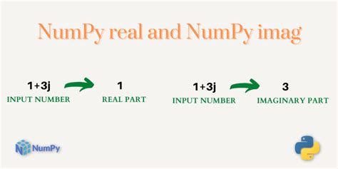 Image result for Real Python-Numpy
