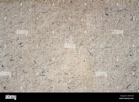 Nature Paper 的图像结果