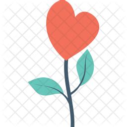 Caring for Air Plants 的图像结果