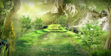梦幻森林背景图片素材-正版创意图片401708473-摄图网