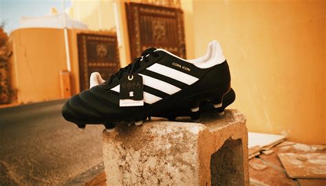 Copa Mundial 的图像结果