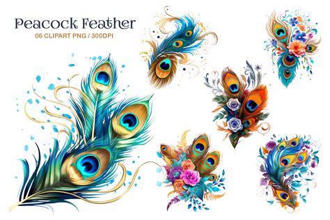 Peacock Feather Clip Art Png