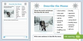 Describe the Pigeon Writing Activity Sheet,pigeon - Twinkl