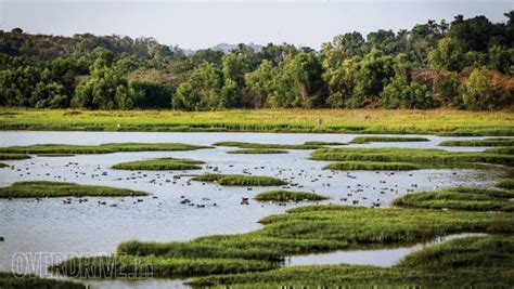 Advertorial: Exploring uncharted territory of Goa in the Honda BR-V ...