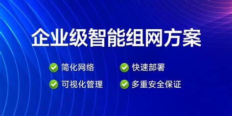 企业异地组建局域网哪种方案好？ - 知乎