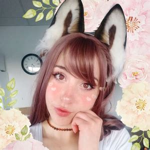 Image result for Fox in Python Code