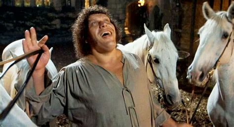 Image result for Hello Lady The Princess Bride