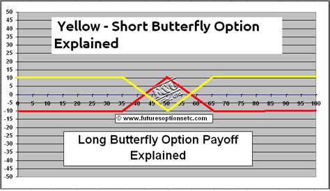 Image result for Butterfly Options