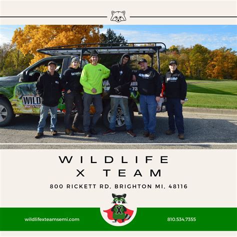 Meet our skilled crew of wildlife technicians, ready to handle any wildlife removal situation ...