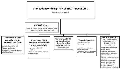 Cardiac Implantable Electronic Devices in Hemodialysis and Chronic ...