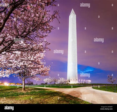 The National Mall 的图像结果