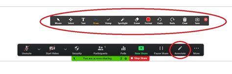 Zoom Annotation Tools 的图像结果