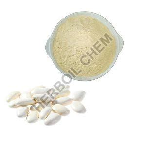 Herboil Chem Mumbai - Piper Longum Extract Manufacturer Exporter