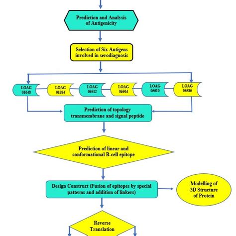 Image result for Flowchart for Crystal Structure Algorithm