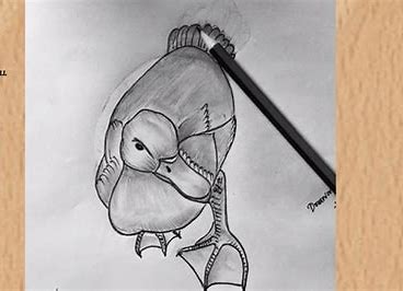 pencil sketch photo gallery