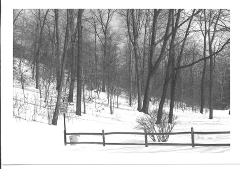 Mt Lebanon Public Library, PA - Photo Gallery