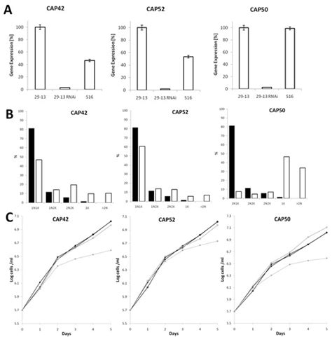 New Insights on Cytoskeleton Proteins in Protozoan Parasites