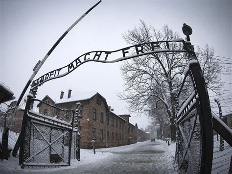 Auschwitz liberation 70th anniversary: Woman sent to three Nazi death ...