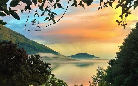 Image result for How to View MLO in Codewalker