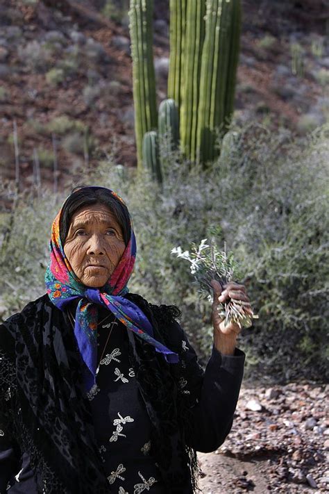 Indigenous Peoples of Mexico: Culture, History, and Traditions