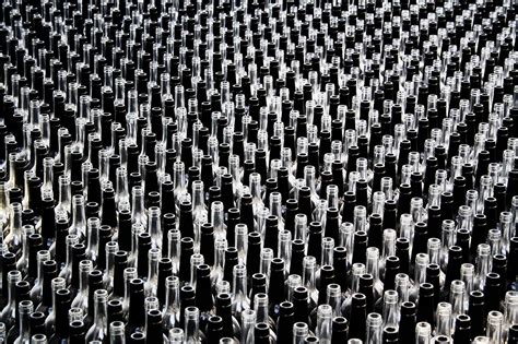 Voting Icon 的图像结果