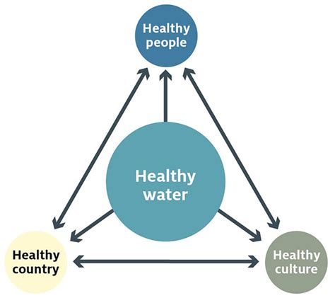 Ancient Wisdom: How Aboriginal Harmony with Nature Nurtured Survival