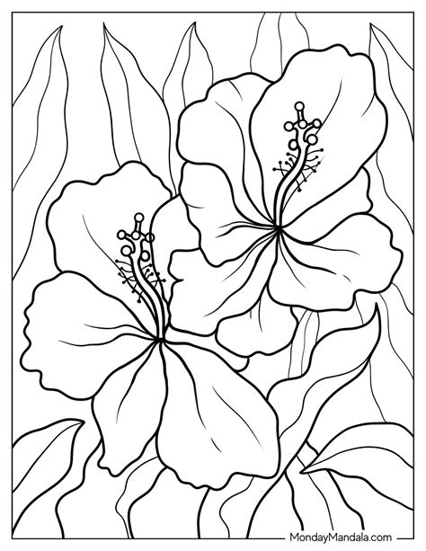 Hawaiian Flowers Printable Coloring Pages