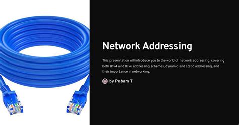 Internet Addressing 的图像结果