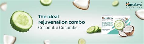Buy Himalaya Herbals Refreshing Cucumber Soap & Coconut Soap, 75gm ...