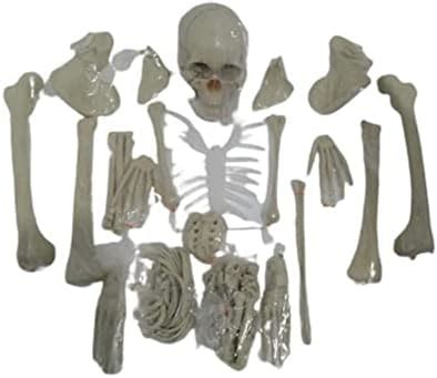 WKM Dis Articulated Human Skeleton Anatomical Model 5 Feet/Full ...