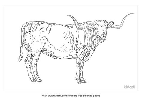Texas Longhorn Coloring
