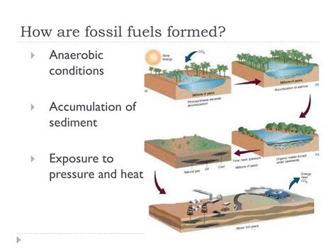 Image result for How Are Fossil Fuels Formed
