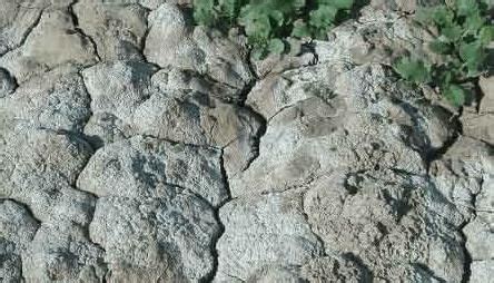 Soil Composition, Characteristics and Types of Soils - Geography for UPSC