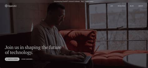 Open Ai Software 的图像结果